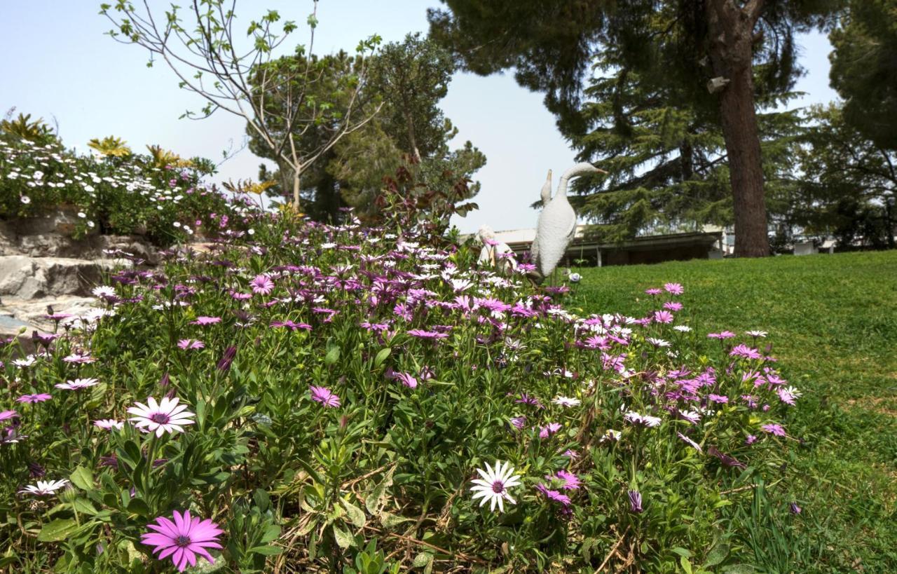 Hacienda Forest View Hotel Maalot Tarshiha Exterior photo